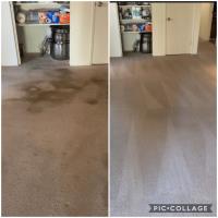 Steam Master DFW Carpet & Tile Cleaning image 1
